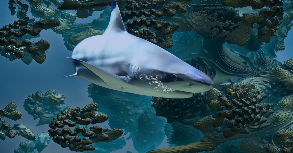 Shark swimming near coral reef